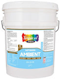 pintura satinada ambient sin olor tropical