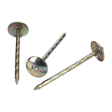 Clavos zin