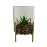 Planta con ote 11.3x11.3x15.5cm