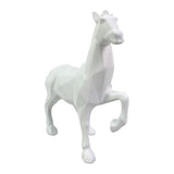 Caballo 24x10x23.5m