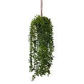 Planta c/ote 28x28x60cm