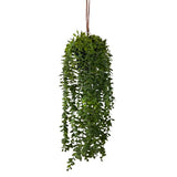 Planta c/ote 28x28x60cm