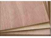playwood okume chino