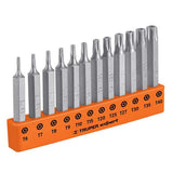 Juego de 12 puntas para desarmador, torx