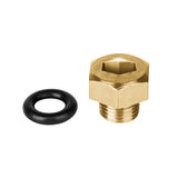 Kit tornillo de purga y empaque parra bo