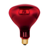 Lámpara incandescente 250w infrarrojo te