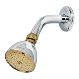 Ducha reona 2 1/2" con brazo y cubre falta cromo-oro foset aqua