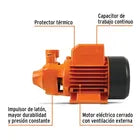 bomba ladrona