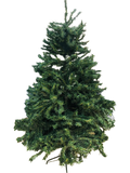 Arbol nvidd verde 1.8 gm16358 1/1