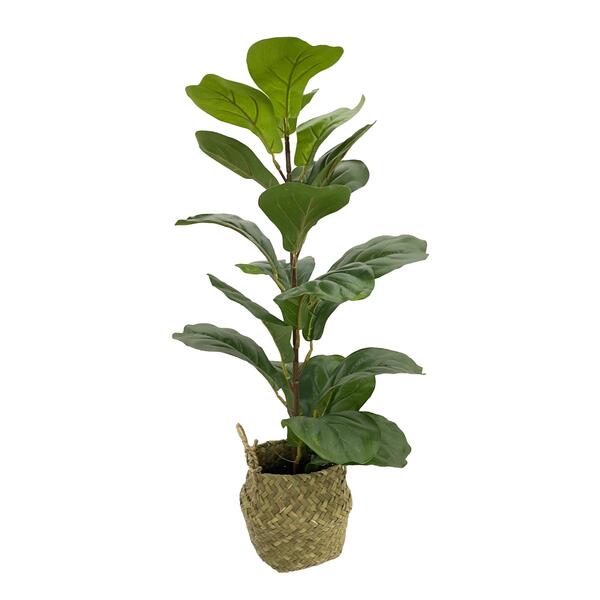 PLANTA CON CESTA 20X23X66CM